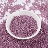 MIYUKI Round Rocailles Beads SEED-JP0009-RR0645-2