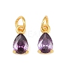 Brass Pave Cubic Zirconia Charms KK-K340-51G-01-1