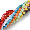 Natural Freshwater Shell Beads Strands SHEL-N003-24-A01-5