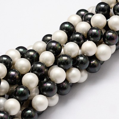 Shell Pearl Bead Strands BSHE-L017-13-1