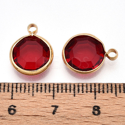 K9 Glass Charms X1-GLAA-T023-37A-04-1