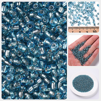 3000Pcs Glass Seed Beads SEED-PA0001-29B-03-1