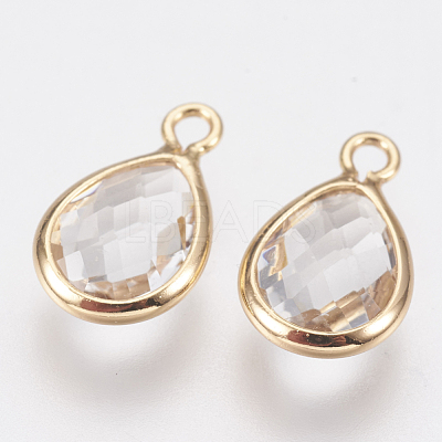 Glass Charms KK-Q752-001G-1