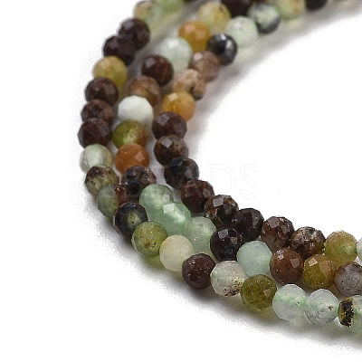 Natural Chrysoprase Beads Strands G-G140-A14-07-1