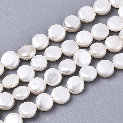 Natural Freshwater Shell Beads Strands SHEL-N026-50B-01-1