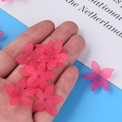 Transparent Acrylic Beads MACR-S373-127-D-1