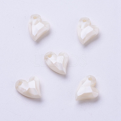 Acrylic Pendants LS-X-MACR-P120-11mm-P13-1