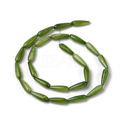 Natural Freshwater Shell Beads Strands SHEL-A004-03B-1