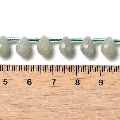 Natural Amazonite Beads Strands G-H297-B07-01-1