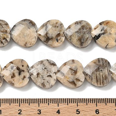 Natural Feldspar Beads Strands G-A309-A02-01-1