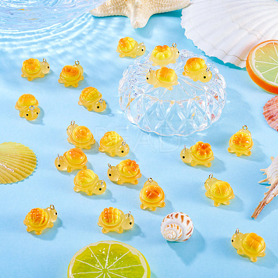 20Pcs 10 Styles Transparent Resin Bread-shaped Turtle Pendants RESI-TA0005-24-1