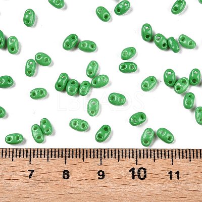 Baking Paint Glass Seed Beads SEED-T006-03F-1