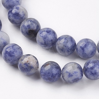 Natural Blue Spot Jasper Bead Strands G-R193-15-8mm-1