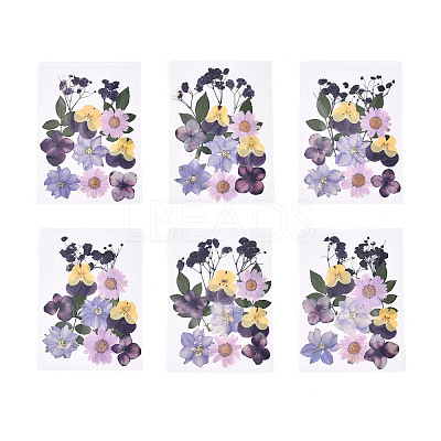 Pressed Dried Flowers DIY-YWC0001-102-1