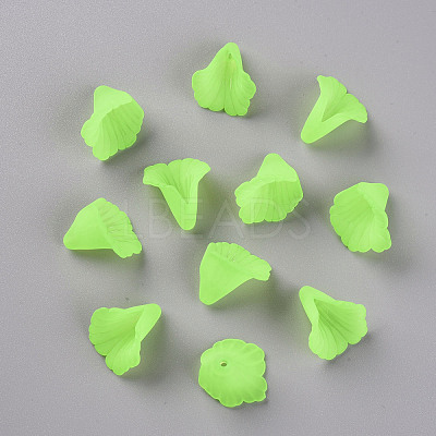 Transparent Acrylic Bead Caps PL551-C18-1