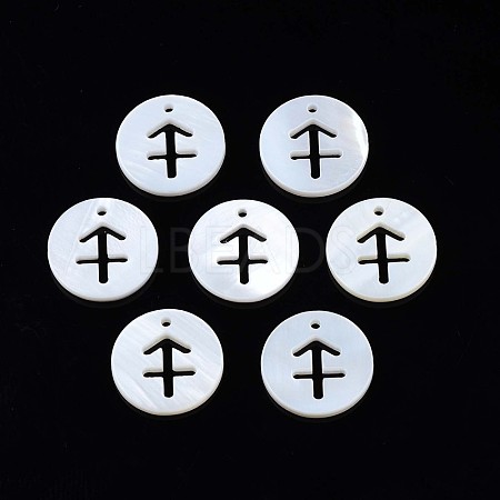 Natural Freshwater Shell Charms SHEL-N027-10C-1