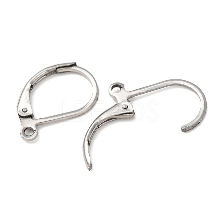 Tarnish Resistant 316L Surgical Stainless Steel Leverback Earring Findings STAS-E194-03P-1