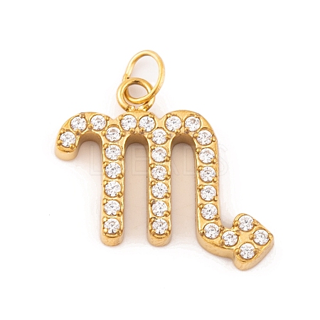 316 Stainless Steel Micro Pave Cubic Zirconia Pendants STAS-K284-01L-G-1