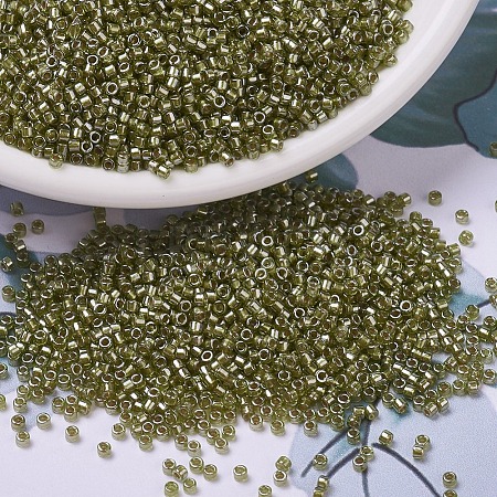 MIYUKI Delica Beads X-SEED-J020-DB0908-1